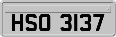 HSO3137