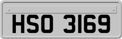HSO3169