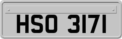 HSO3171