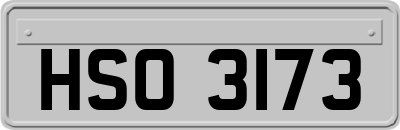 HSO3173