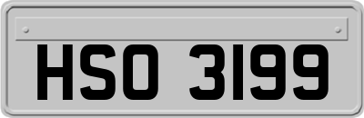 HSO3199