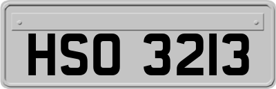 HSO3213