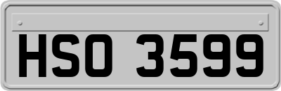 HSO3599