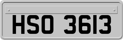 HSO3613