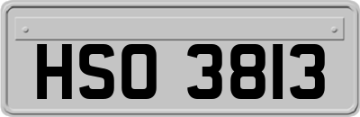 HSO3813