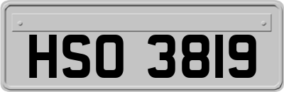 HSO3819
