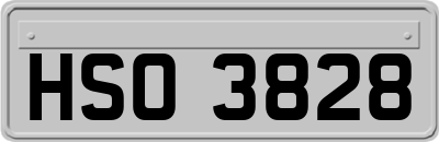 HSO3828