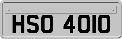 HSO4010