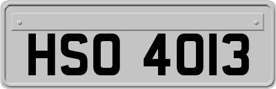 HSO4013