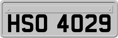 HSO4029