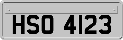 HSO4123