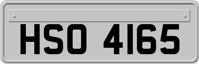 HSO4165