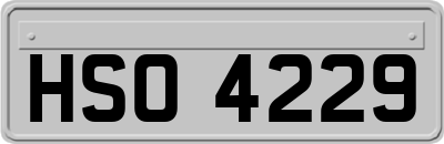 HSO4229