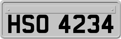 HSO4234