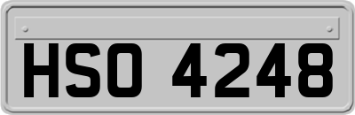 HSO4248