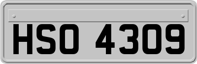 HSO4309
