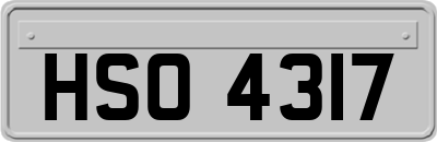 HSO4317