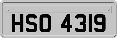 HSO4319