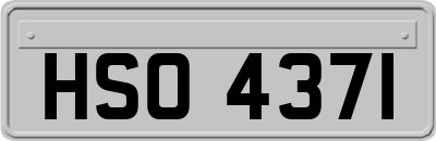 HSO4371