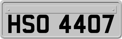 HSO4407