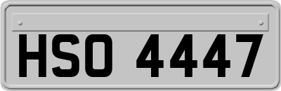 HSO4447