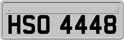 HSO4448