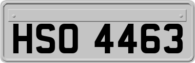 HSO4463