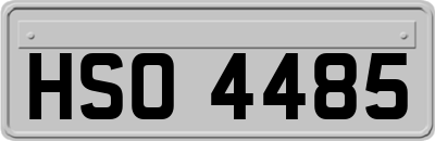 HSO4485