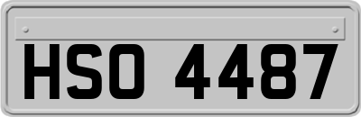 HSO4487