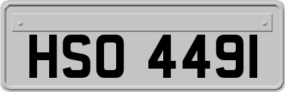 HSO4491
