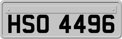 HSO4496