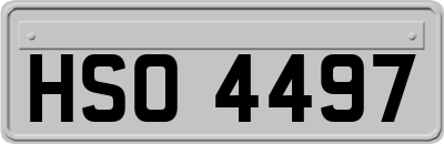 HSO4497