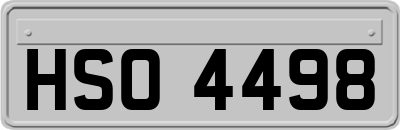 HSO4498
