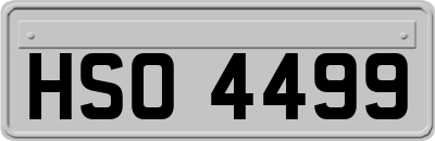 HSO4499