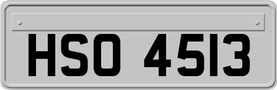HSO4513