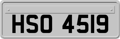 HSO4519