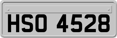 HSO4528