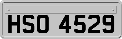 HSO4529