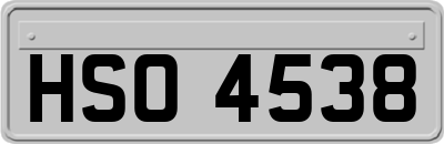 HSO4538