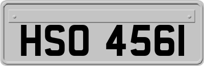 HSO4561
