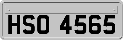 HSO4565