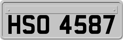 HSO4587