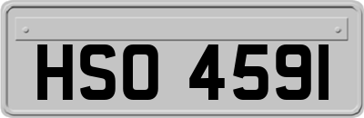 HSO4591