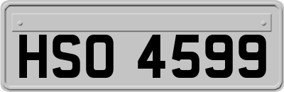 HSO4599