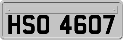 HSO4607