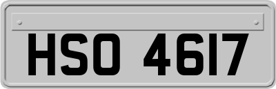 HSO4617