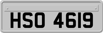 HSO4619