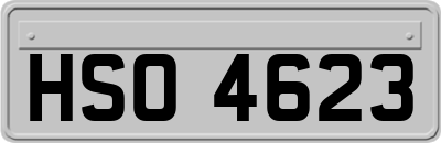 HSO4623