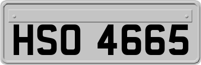 HSO4665