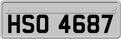 HSO4687